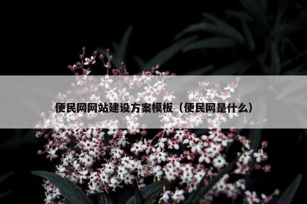 便民网网站建设方案模板（便民网是什么）