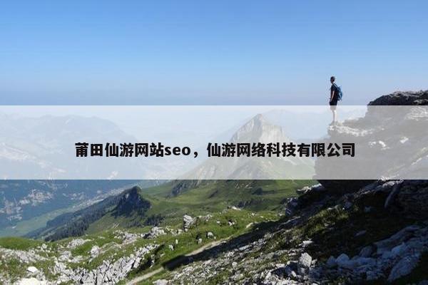 莆田仙游网站seo，仙游网络科技有限公司