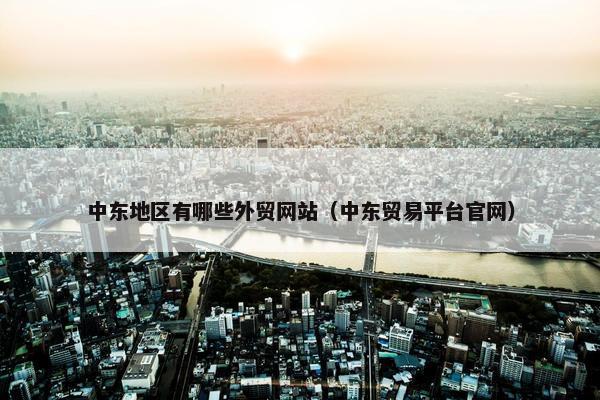 中东地区有哪些外贸网站（中东贸易平台官网）