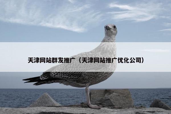 天津网站群发推广（天津网站推广优化公司）