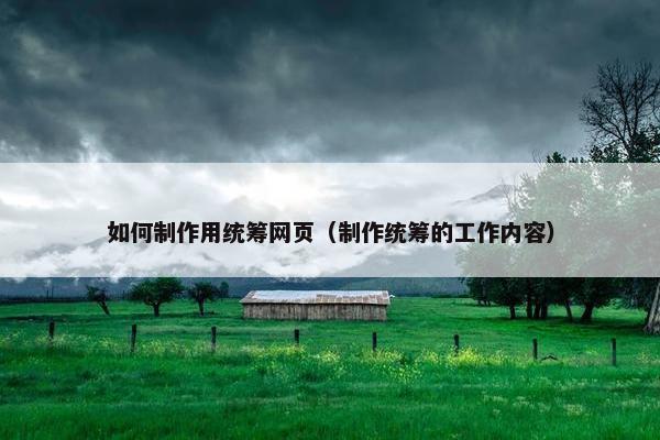 如何制作用统筹网页（制作统筹的工作内容）