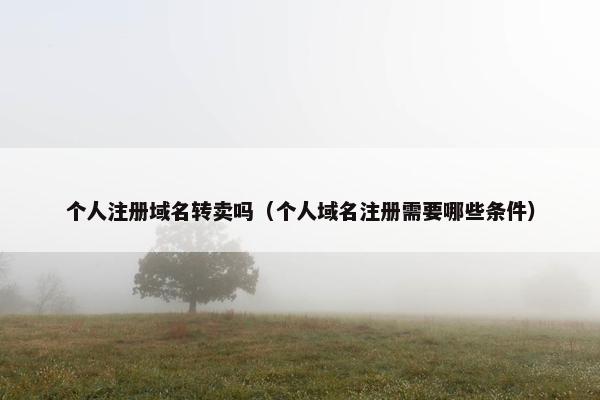 个人注册域名转卖吗（个人域名注册需要哪些条件）