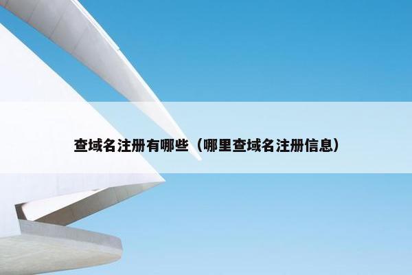 查域名注册有哪些（哪里查域名注册信息）