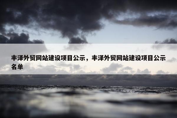 丰泽外贸网站建设项目公示，丰泽外贸网站建设项目公示名单