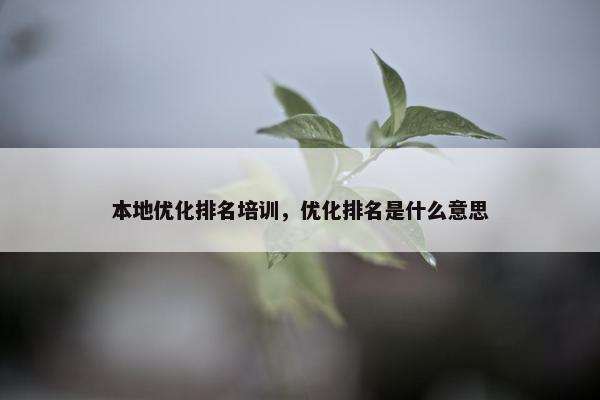 本地优化排名培训，优化排名是什么意思