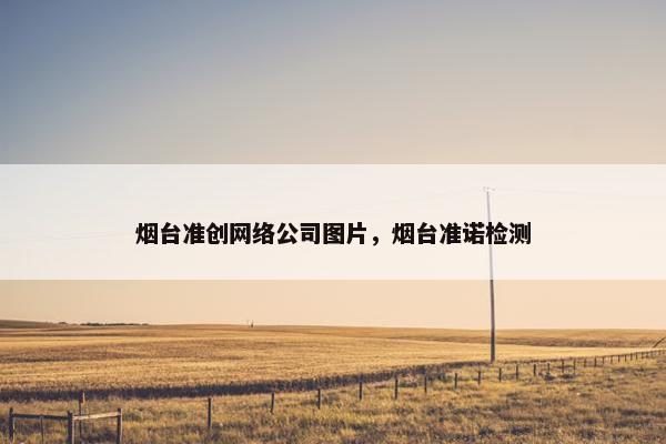 烟台准创网络公司图片，烟台准诺检测