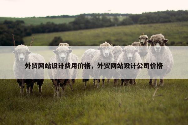 外贸网站设计费用价格，外贸网站设计公司价格