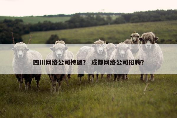 四川网络公司待遇？ 成都网络公司招聘？
