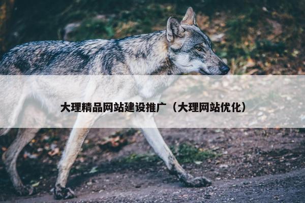大理精品网站建设推广（大理网站优化）