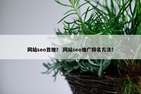网站seo首推？ 网站seo推广排名方法？