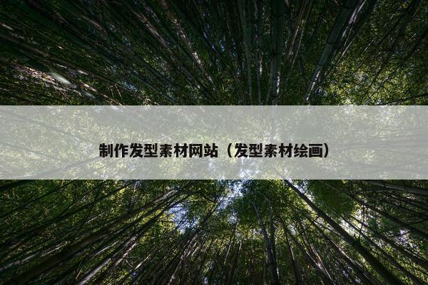 制作发型素材网站（发型素材绘画）