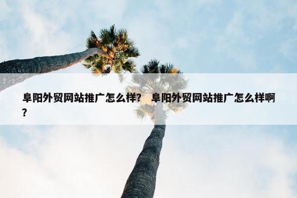 阜阳外贸网站推广怎么样？ 阜阳外贸网站推广怎么样啊？