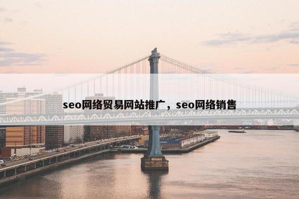 seo网络贸易网站推广，seo网络销售
