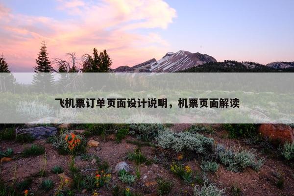 飞机票订单页面设计说明，机票页面解读