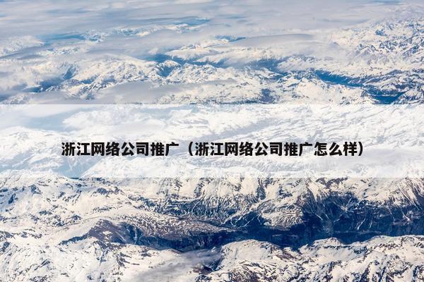 浙江网络公司推广（浙江网络公司推广怎么样）