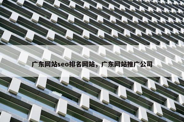 广东网站seo排名网站，广东网站推广公司