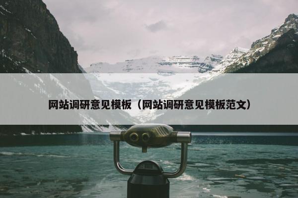 网站调研意见模板（网站调研意见模板范文）