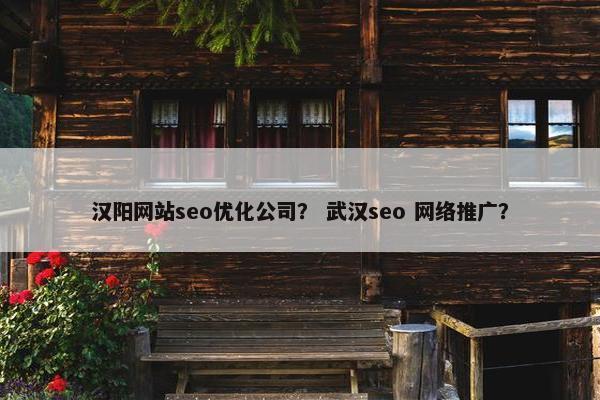 汉阳网站seo优化公司？ 武汉seo 网络推广？