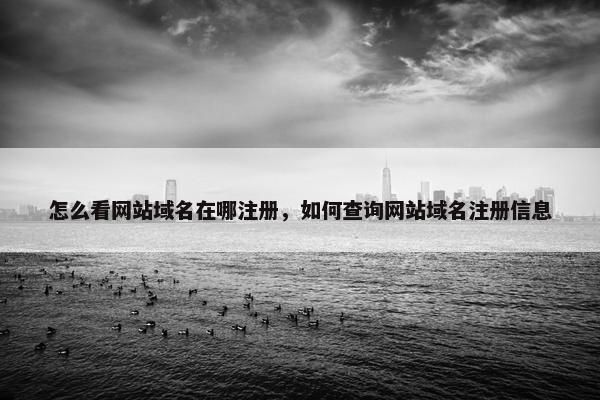 怎么看网站域名在哪注册，如何查询网站域名注册信息
