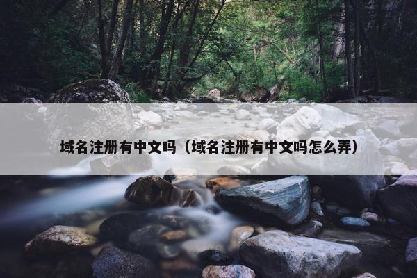 域名注册有中文吗（域名注册有中文吗怎么弄）