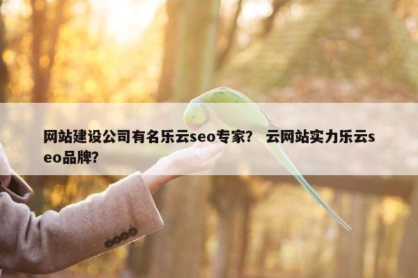 网站建设公司有名乐云seo专家？ 云网站实力乐云seo品牌？