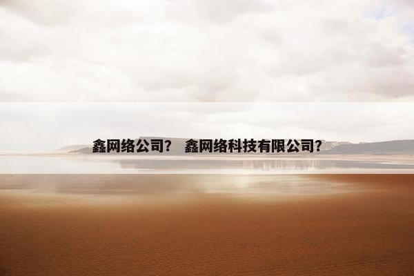 鑫网络公司？ 鑫网络科技有限公司？