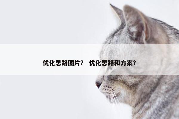 优化思路图片？ 优化思路和方案？
