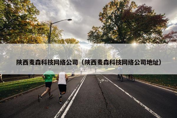 陕西麦森科技网络公司（陕西麦森科技网络公司地址）