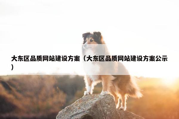大东区品质网站建设方案（大东区品质网站建设方案公示）
