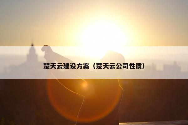 楚天云建设方案（楚天云公司性质）