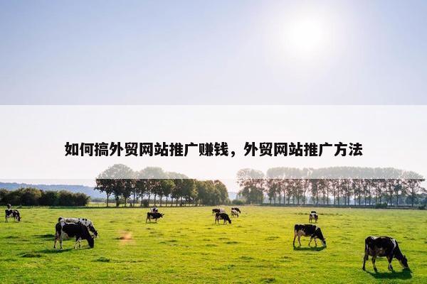 如何搞外贸网站推广赚钱，外贸网站推广方法