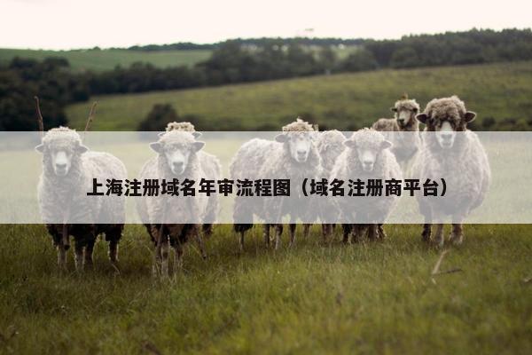 上海注册域名年审流程图（域名注册商平台）