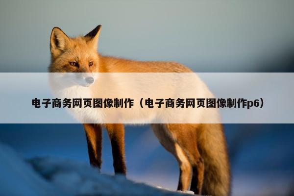 电子商务网页图像制作（电子商务网页图像制作p6）