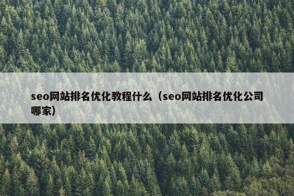 seo网站排名优化教程什么（seo网站排名优化公司哪家）