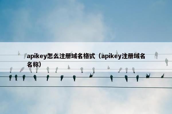 apikey怎么注册域名格式（apikey注册域名名称）