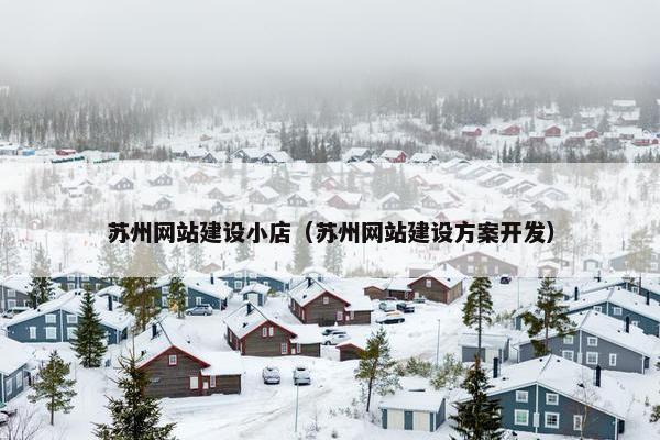 苏州网站建设小店（苏州网站建设方案开发）