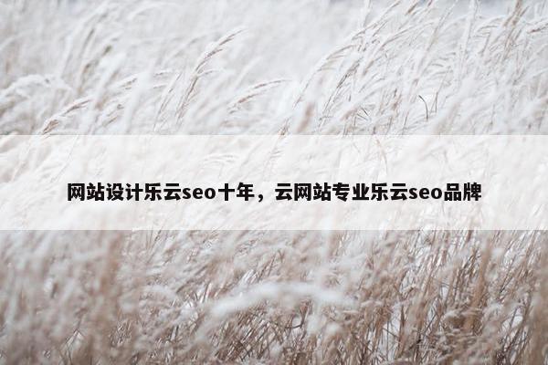 网站设计乐云seo十年，云网站专业乐云seo品牌