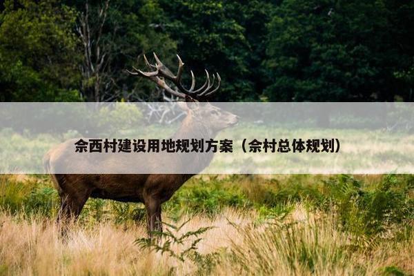 佘西村建设用地规划方案（佘村总体规划）