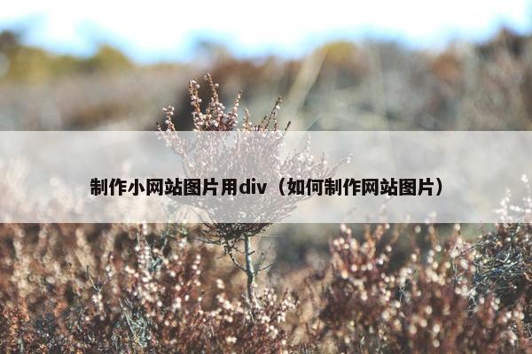 制作小网站图片用div（如何制作网站图片）