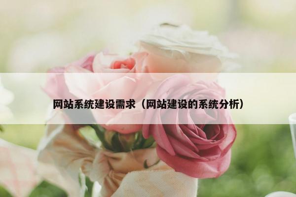 网站系统建设需求（网站建设的系统分析）