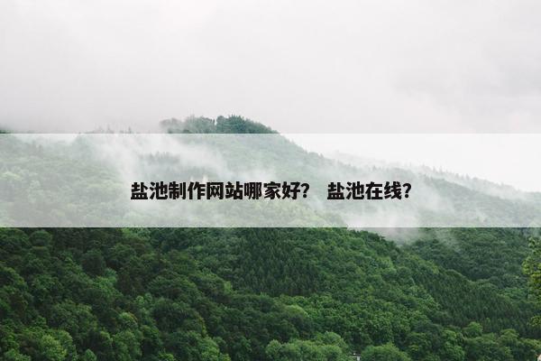 盐池制作网站哪家好？ 盐池在线？