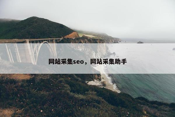 网站采集seo，网站采集助手