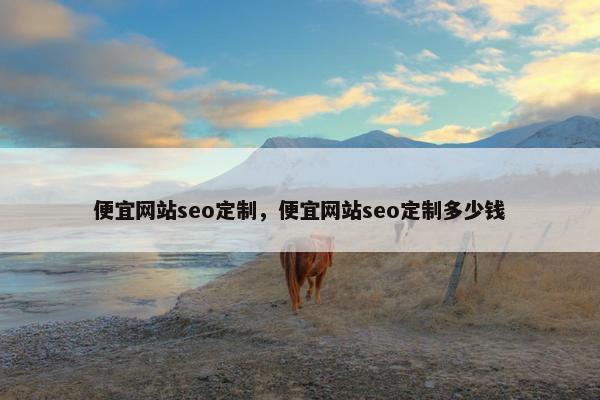 便宜网站seo定制，便宜网站seo定制多少钱