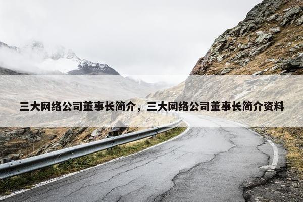 三大网络公司董事长简介，三大网络公司董事长简介资料