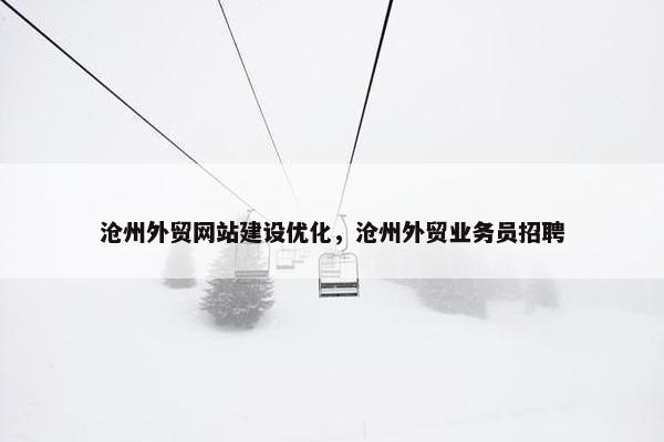 沧州外贸网站建设优化，沧州外贸业务员招聘