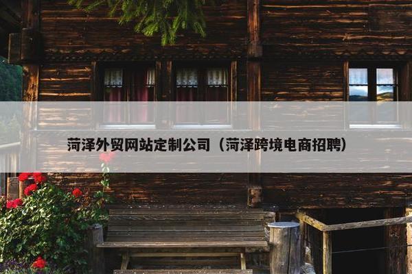 菏泽外贸网站定制公司（菏泽跨境电商招聘）
