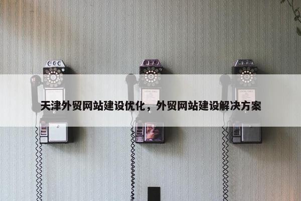 天津外贸网站建设优化，外贸网站建设解决方案