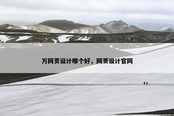 万网页设计哪个好，网页设计官网