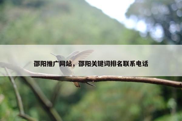 邵阳推广网站，邵阳关键词排名联系电话