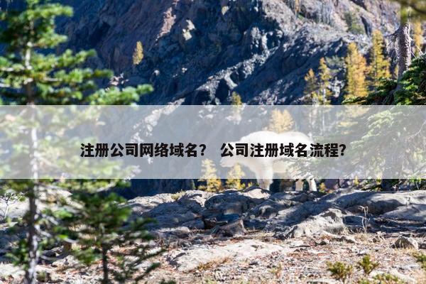 注册公司网络域名？ 公司注册域名流程？
